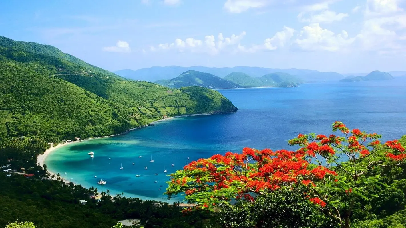 网络化无人化高精度